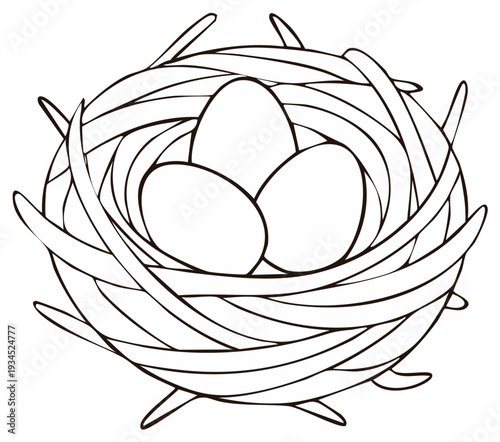 Hand drawn outline of a birds nest with three eggs inside on a white background