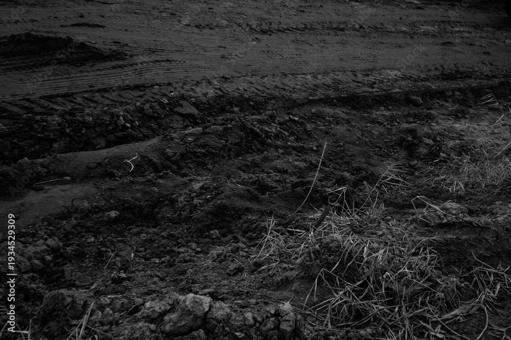 Obraz premium Soil texture with tire tracks and dry grass in agricultural field