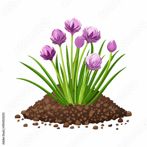 Flowers grow from soil in a garden scene during daylight hours showing various stages of bloom