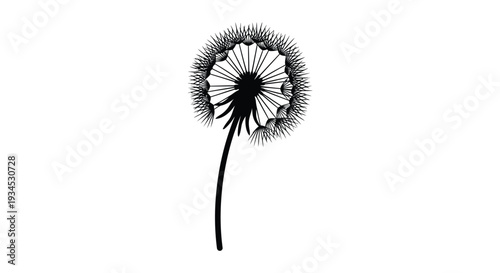 A striking black silhouette of a dandelion seed head on a slender stem against a white backdrop silhouette