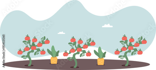 Vegetable Garden Bed with Tomato Bushes and Carrots Vector Illustration