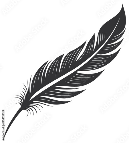 Elegant single monochrome feather illustration on a white background, light and soft texture, close-up of detailed avian plumage