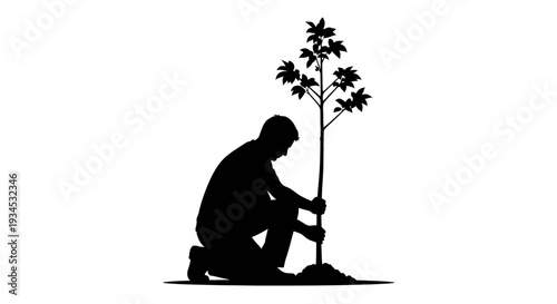 Man Planting Small Tree Sapling.