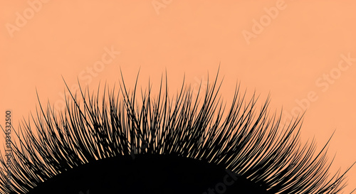A vector graphic illustration of a pair of false eyelashes on a peach background