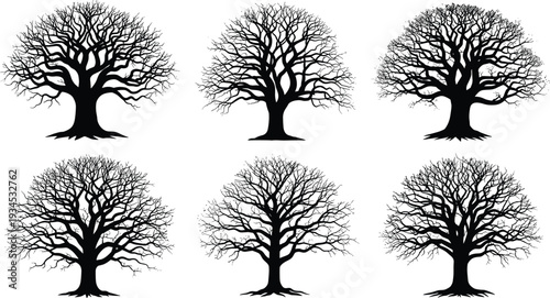 Leafless tree silhouette vector, winter tree illustration, branching pattern design, nature graphic art, forest shape collection, cad drawing flat vector