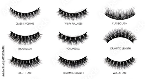 A set of various false eyelash styles arranged in rows on a white background