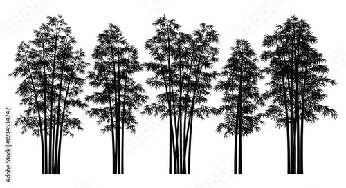 A cluster of tall bamboo stalks with dense foliage is depicted against a stark white background silhouette