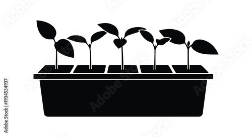 A row of young plants growing in a dark container depicted as a striking black silhouette high quality
