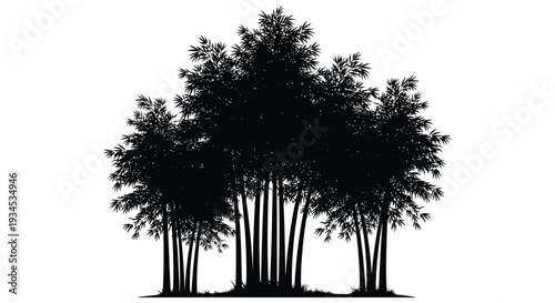 A dense grouping of bamboo stalks and foliage is strikingly presented as a dark silhouette high quality professional