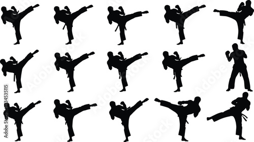 Martial arts karate silhouettes, high kick fighter poses, self defense training vector illustration for sports design