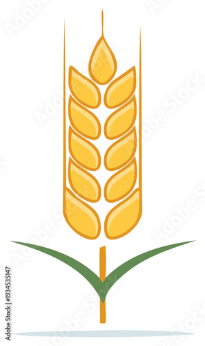 Stylized single golden wheat stalk illustration. Graphic icon for grain, agriculture, and harvest.