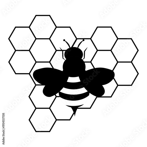 Black and white bee silhouette illustration combined with geometric hexagon honeycomb pattern. Minimal modern design suitable for logo, branding, beekeeping concept, nature theme, organic product pack