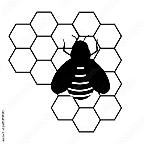 Black and white bee silhouette illustration combined with geometric hexagon honeycomb pattern. Minimal modern design suitable for logo, branding, beekeeping concept, nature theme, organic product pack