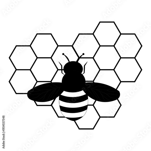 Black and white bee silhouette illustration combined with geometric hexagon honeycomb pattern. Minimal modern design suitable for logo, branding, beekeeping concept, nature theme, organic product pack