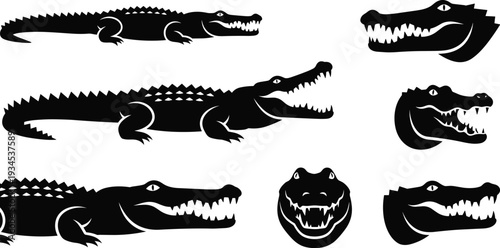  Alligator Crocodile Reptile Silhouette  Collection,alligator silhouette icons, crocodile graphics, reptile silhouette symbols