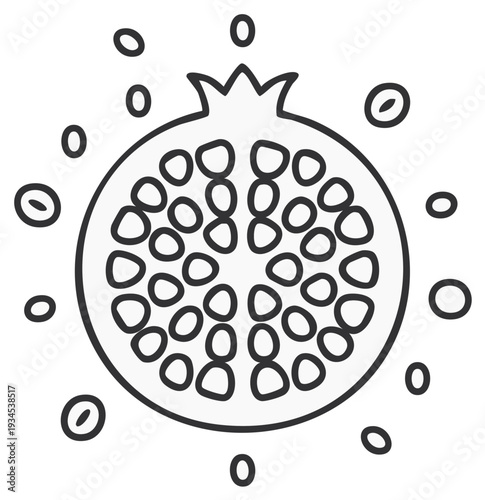 Black and White Pomegranate Half Outline with Seeds Simple Fruit Graphic Food Illustration