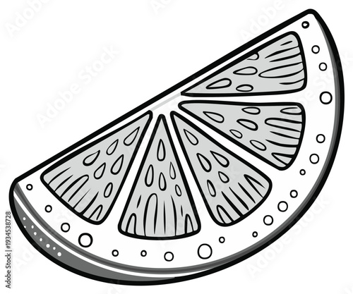 Black and White Illustration of a Citrus Fruit Slice with Detailed Segments