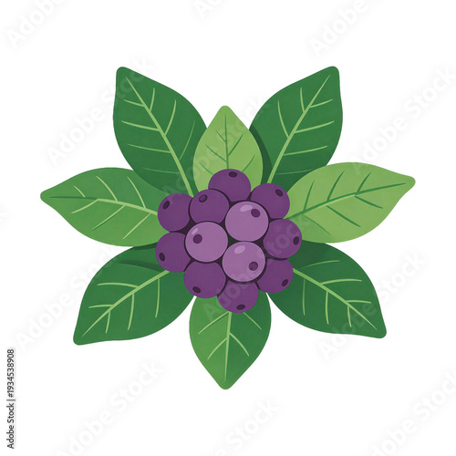 Illustration of Purple Berries with Green Leaves