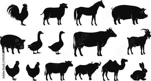 Farm animal silhouette set with cow horse sheep pig goat chicken duck rabbit vector illustration isolated black livestock collection