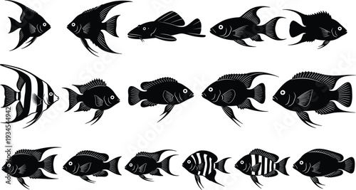 Black Fish Silhouette Collection Various Tropical and Freshwater Aquarium Species Vector Illustration Set