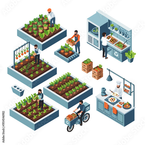 Isometric illustration depicting a farm-to-table process, from cultivation to kitchen and delivery.