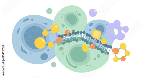 Cell Membrane Illustration with Lipid Bilayer, Proteins, and Receptors. Detailed Diagram of Cellular Structure, Molecular Biology, and Cellular Transport.