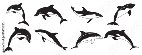 dolphin clipart dolphin silhouette sea animal
