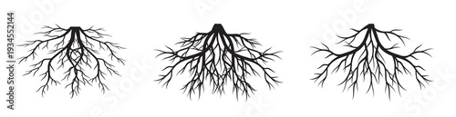 Set of Trees. Vector outline Illustration. Plant in Garden.