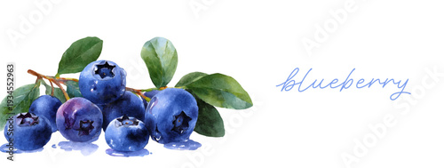Hand painted watercolor blueberries with fresh green leaves and delicate stems, illustrating healthy eating, natural freshness, and organic nutrition against a clean white background