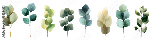 Watercolor eucalyptus branches and leaves in blue green and sage tones, elegant botanical arrangement on white background for invitations, cards, patterns, and design elements