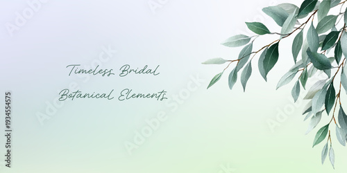 Watercolor eucalyptus branches creating elegant botanical frame, perfect for timeless wedding, bridal shower, and nature inspired celebration designs