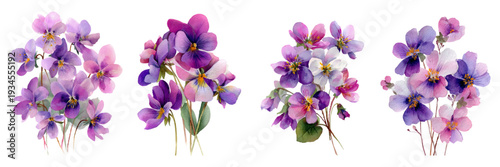 Watercolor pansy flowers illustrating botanical elegance, presenting a collection of soft purple and violet blossoms with green stems for spring and nature designs