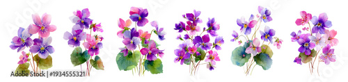 Watercolor collection of blooming violas and violets, featuring multiple small floral bouquets in shades of purple and pink, presenting a delicate spring bloom