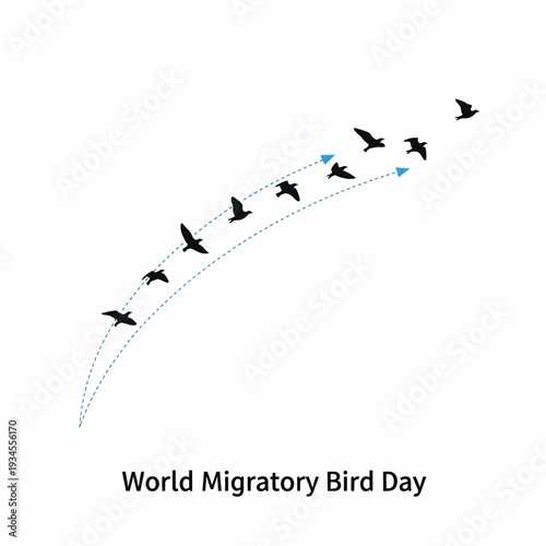 Birds flying in a V formation.