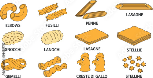 Italian Pasta Types Collection with Elbows Fusilli Penne Lasagne Gnocchi Gemelli and Stelline Cartoon Vector Illustration
