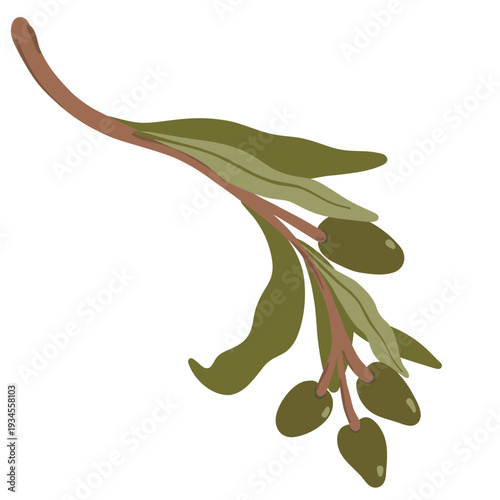 Small branch with green olives and leaves