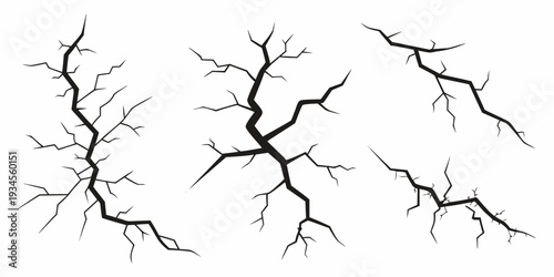 Intricate branching patterns of dendritic structures in nature