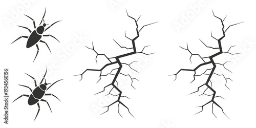 Four distinct black and white spider illustrations with varying leg and body structures