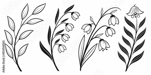 Elegant black and white floral illustration with delicate leaves and flowers