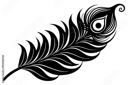 feather vector illustration, peacock feather black silhouette vector, peacock feather icon.