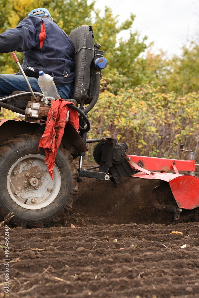 Obraz premium Man driving red walk-behind tractor, plow digging soil in garden, side view.
