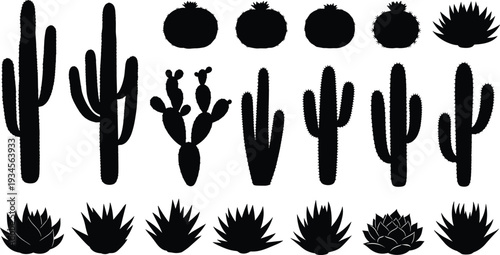 Black silhouettes of various cacti and succulents on white background cactus