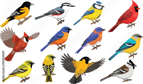 Realistic Colorful Songbird Collection with Cardinal Oriole Bluebird Sparrow and Forest Wildlife Birds Flat Vector Illustration Set.
