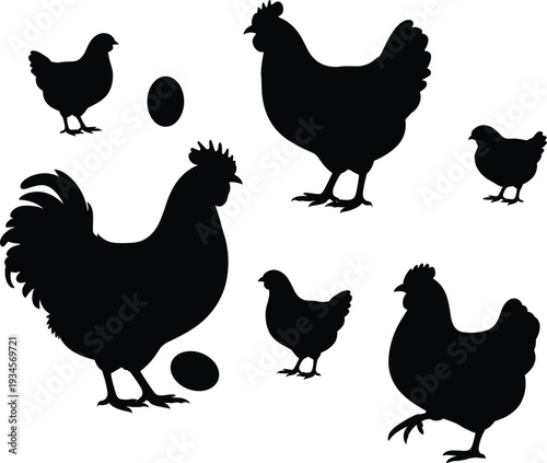 Chicken and hen silhouette set with eggs isolated on white background representing poultry farming agriculture food production concept