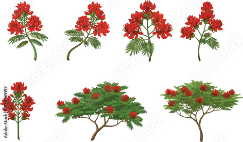 Red flowering plant, blooming tree, botanical art, green leaves, floral design, nature beauty, decorative bloom, garden landscape, seasonal flower, flat vector illustration
