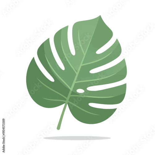 Minimalist Tropical Monstera Deliciosa Leaf Illustration