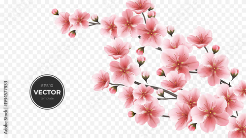 Beautiful pink cherry blossoms on a delicate branch, adding a touch of spring.