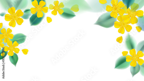 Yellow flowers bloom with green leaves framing white space. Bright petals and soft leaves create cheerful, natural design. Vibrant colors suggest warmth and joy in springtime