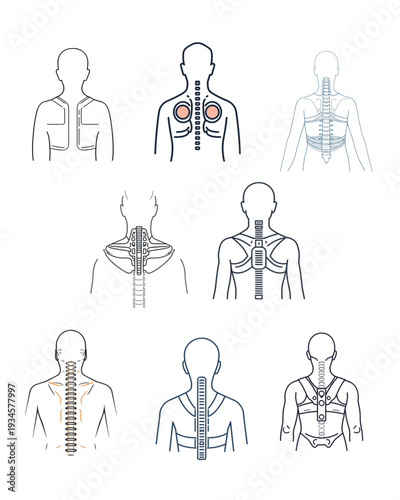 Spine Support and Back Brace Line Icon Set – Orthopedic Vertebrae Medical Outline Vector Collection. Ai generated