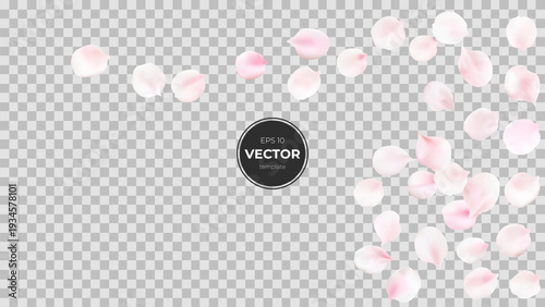 A scattering of delicate pink petals on a transparent background, creating a soft ambiance.
